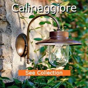 Calinaggiore Cat photoshop
